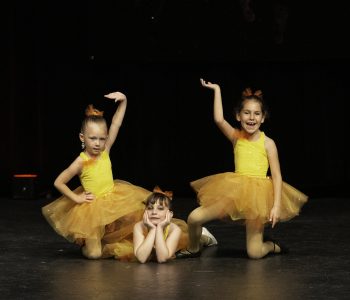 dance lessons kenosha, step by step dance academy, sbs